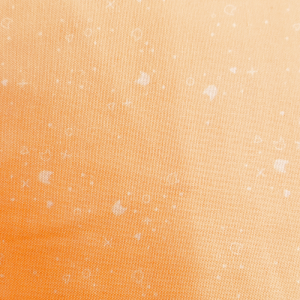 Apricot Cat Sprinkles