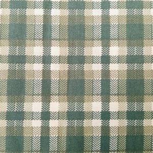 Green & Cream Check
