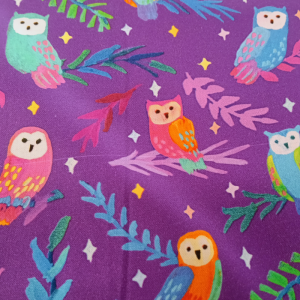 Magical Owls