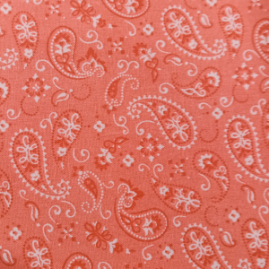 Coral Pink Paisley