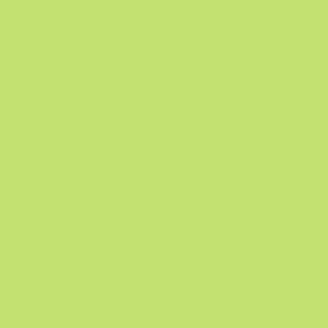 Turtle Green Plain