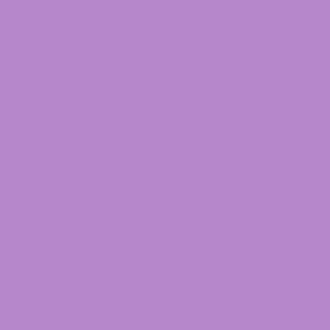 Willow Purple Plain