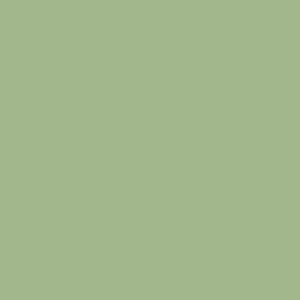 Fern Green Plain