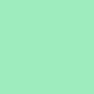 Crisp Mint Plain
