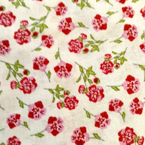 Red and Pink Pansys on White