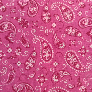 Bright Pink Paisley