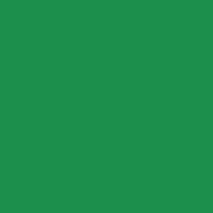 Emerald Green Plain