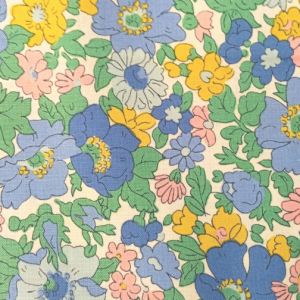 Cosmos Fields (Spring)